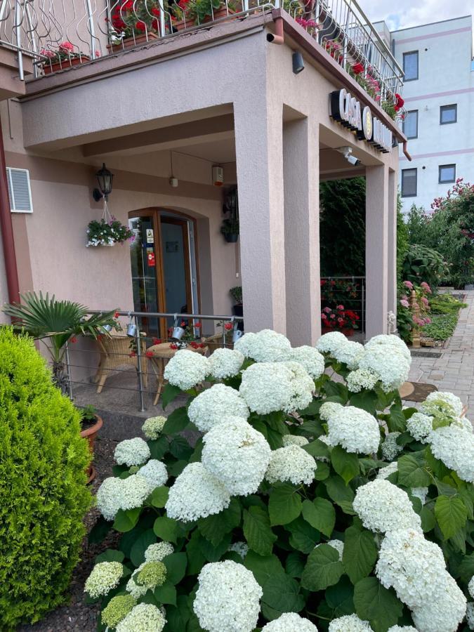 Ametist Casa Leului Hotel Năvodari Exterior foto